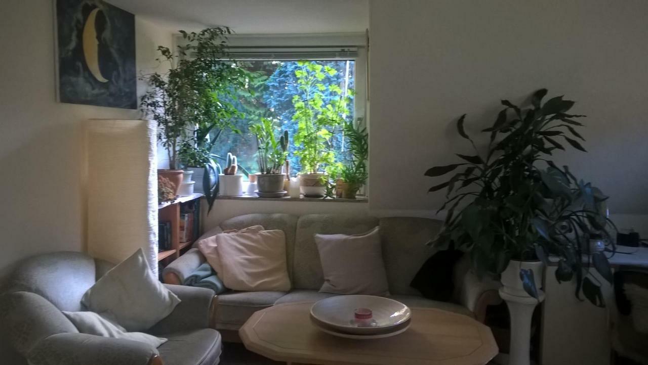 Gemuetl. Ferienwohnung Und Privatzimmer 함브루크 외부 사진