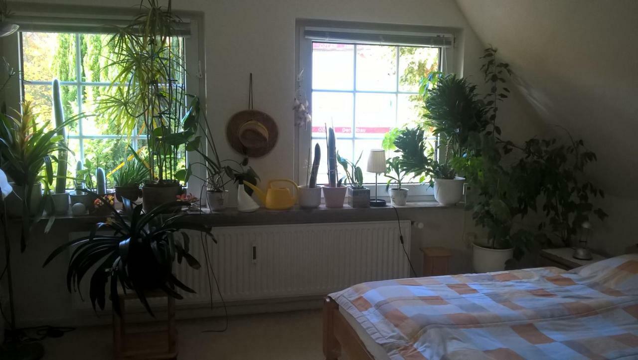 Gemuetl. Ferienwohnung Und Privatzimmer 함브루크 외부 사진